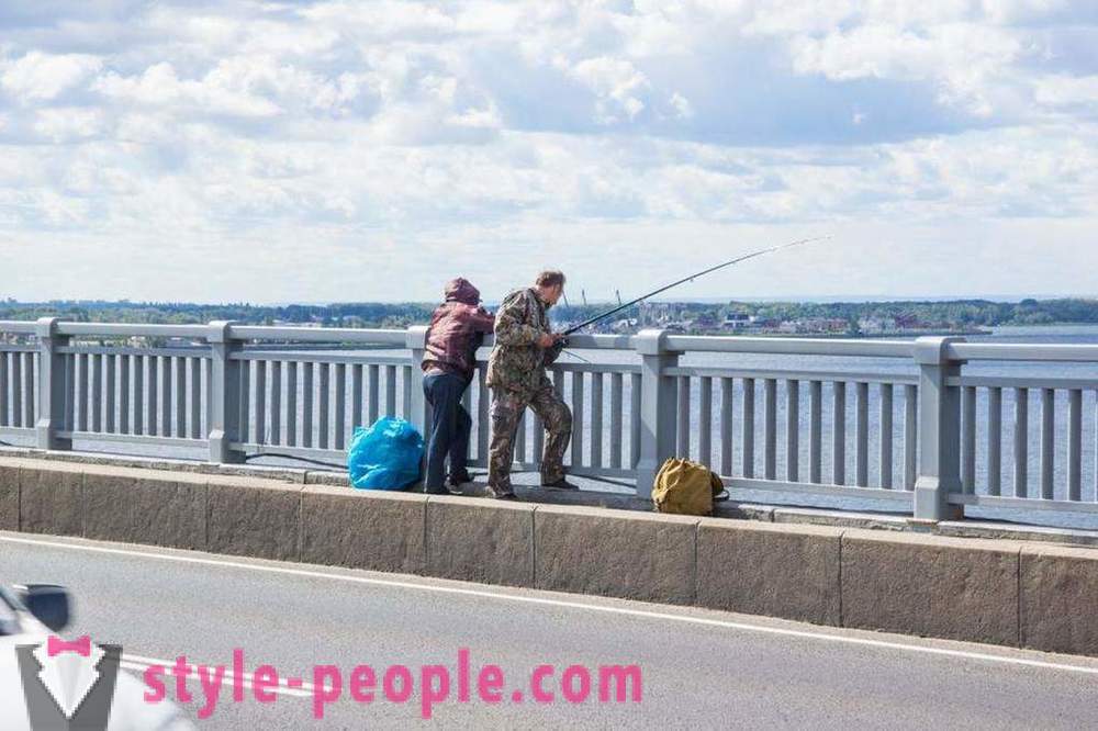 Makšķerēšana Saratovas uz Volgas: fotogrāfijas un atsauksmes