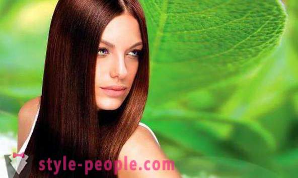 Bezkrāsas henna matu stiprināšanai: īpatnības lietojumprogrammu, ieteikumiem un atsauksmēm