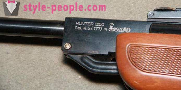 Pneimatisko šauteni Gamo Hunter 1250: pārskats, funkcijas un pārskati