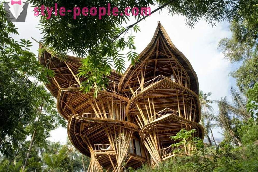 Viņa atmest savu darbu, devās uz Bali un uzcēla greznu māju bambusa