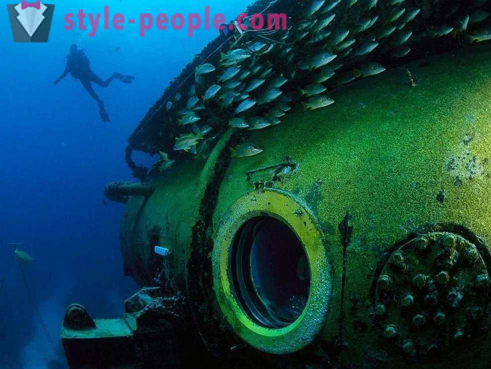Amazing iedzīvotāji zemūdens pasaulē bildēs