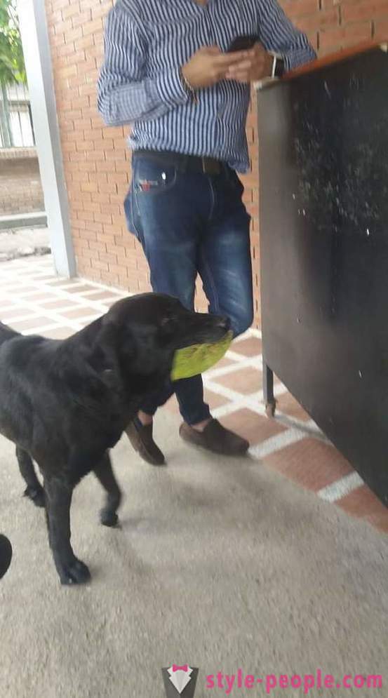 Suns ir iemācījušies, lai nopirktu pārtiku par savu valūtu