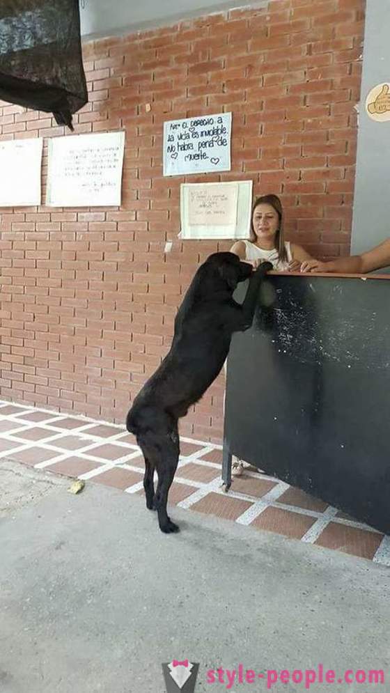 Suns ir iemācījušies, lai nopirktu pārtiku par savu valūtu