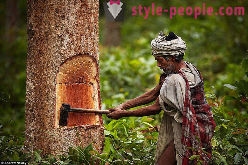 Pēdējie mednieks-ievācējiem: dzīvība primitīvas cilts Nepālā