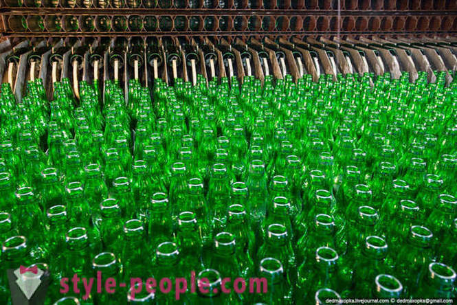 Kā padarīt Heineken alus Krievijā