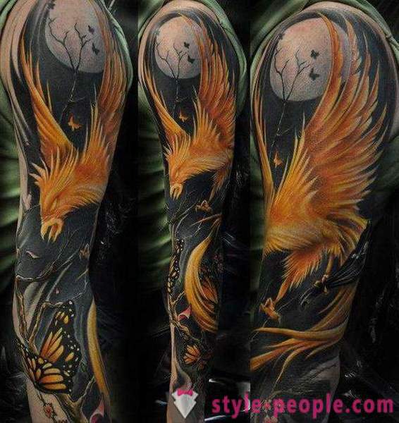 Phoenix Tattoo: skices un iespējas