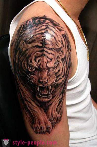 Galvenā vērtība tīģeris tetovējums