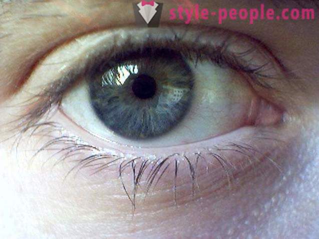 Purvs acu krāsu. Kas nosaka krāsu cilvēka acs?