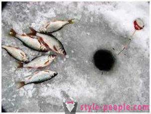 Plaužu zveja ziemā: ins un outs iesācējiem zvejniekiem