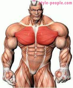 Vingrojums krūšu muskuļiem